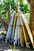 The Kingdom Of Tonga in the South Pacfic <br>A collection of long boards at Ha'atafu on Tongatapu Island,<br>one of the best surf spots around
