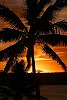 The Kingdom Of Tonga in the South Pacfic <br>Sunset from Room 142, Paradise Hotel/Vava'u