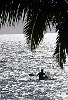 The Kingdom Of Tonga in the South Pacfic <br>Vava'u : Paddling a wave ski in the silver water<br>