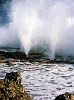 The Kingdom Of Tonga in the South Pacfic <br>The blowholes at Tongatapu going off