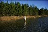 Fresh water fly fishing for trout in a New Zealand lake