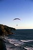 Paragliding off the west coast cliffs of Auckland /New Zealand
