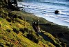 Paragliding off the cliffs of a west coast beach New Zealand