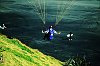 Paraglider hovers on thermals over surfers on the black sand beaches of New Zealand