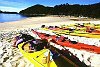 Colourful Kayaks line up the golden sands, South Island/ New Zealand
