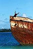 The Kingdom Of Tonga in the South Pacfic <br>A young boy dives off an old shipwreck off Pangaimotu Island, Tongatapu Group.
