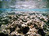 The Kingdom Of Tonga in the South Pacfic <br>Vava'u : What lies beneath the surface with the white coral