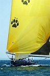 The Millenium Cup Regatta<br>Auckland, to Kawau Island race, New Zealand<br>Canon Leopard 29.49 m / 96.7ft<br>  from Royal Thames Y.C/St.F.Y.C, UK<br>  IRC: 1.632