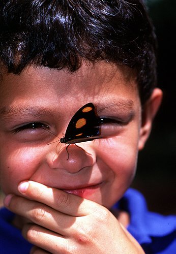 nose butterfly