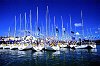 Sunsail charter yachts group together and party during the America's Cup Jubilee