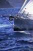 A fast cruising boat leaps off a wave near Guadaloupe Island/ Caribbean