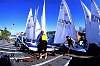 Laser sailors tend to their boats at the Coconut Grove Yacht Club/ Miami Olympic regatta